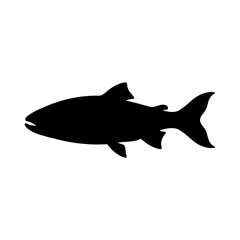 Obraz premium Black fish silhouette, fish icon, seafood symbol, aquatic animal isolated on White Background silhouette