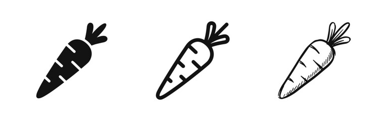 Fototapeta na wymiar Fresh organic carrot vegetable icon set, healthy nutrition