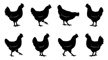 Chickens Standing in a Row, Black Silhouettes on White Background Featuring Poultry, Farm, Animals with Birds and Illustration © MdRonok