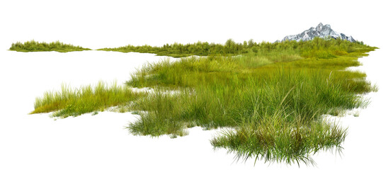 Fototapeta premium green grass on white background/Ultra-sharp, high-resolution landscape element featuring detailed green grass tufts, wild shrubs, and a distant mountain peak isolated on a white background.