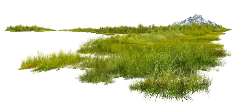 green grass on white background/Ultra-sharp, high-resolution landscape element featuring detailed green grass tufts, wild shrubs, and a distant mountain peak isolated on a white background.