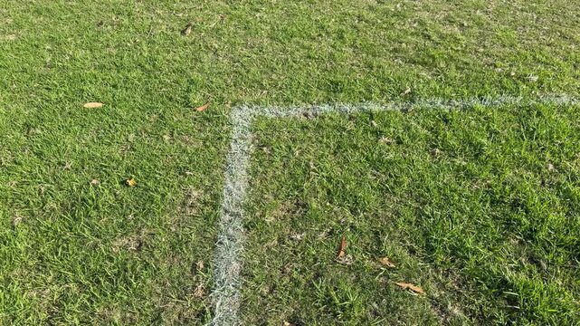 White football markings on a lawn or turf.