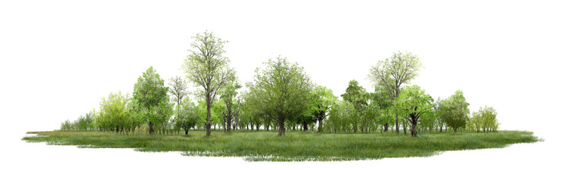 Fototapeta premium green grass isolated on white/Ultra-sharp panoramic forest landscape with lush green trees and grassy meadow isolated on a white background. Ideal for nature, environmental, landscaping