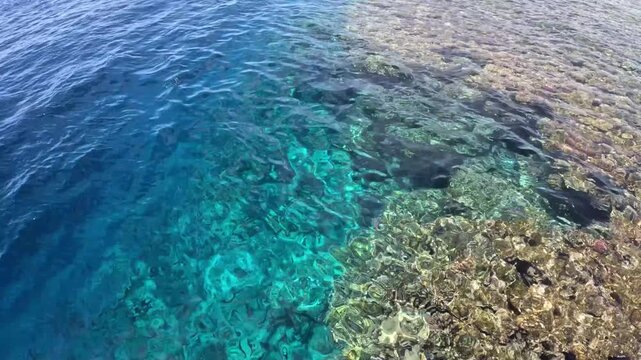 Clear blue water reveals a vibrant coral reef beneath the surface, showcasing marine life and underwater textures.