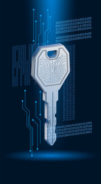 Digital key to a big data array. Modern digital technologies and security tools. Sketch for creative use.