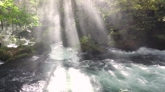 奥入瀬渓流と斜光　阿修羅の流れ