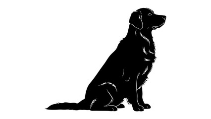 Black Retriever Silhouette: A striking black silhouette of a retriever dog sits attentively, its form cleanly defined against a white background. © Hasem