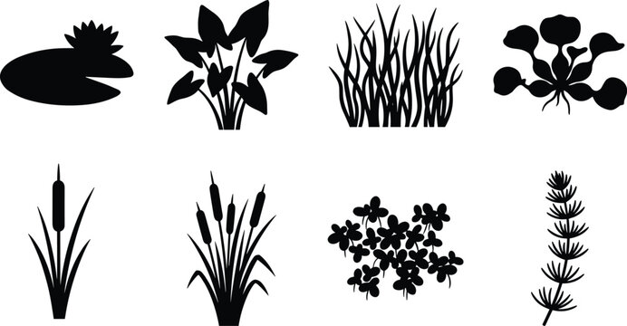 Aquatic plants and pond weeds black silhouette collection featuring water lily cattail reeds duckweed and hornwort in image_235f1c.png