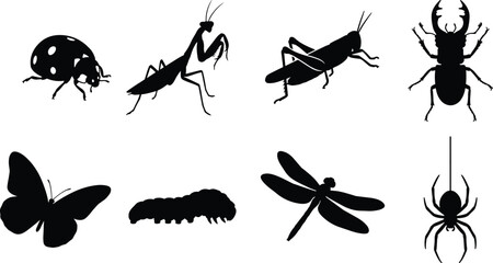 Collection of insect and bug black silhouettes featuring ladybug praying mantis grasshopper stag beetle butterfly caterpillar dragonfly and spider © MstRehna