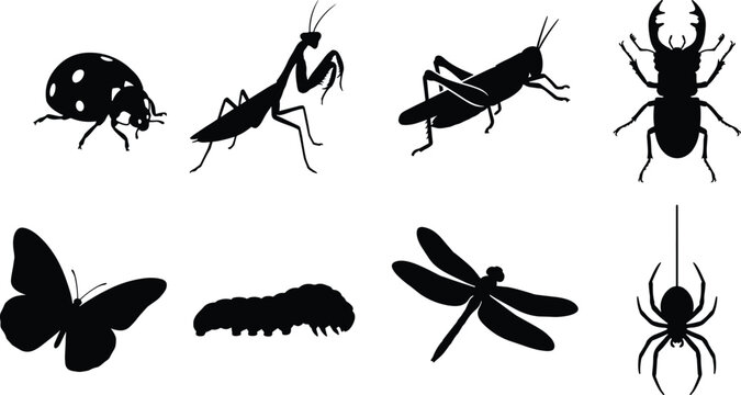 Collection of insect and bug black silhouettes featuring ladybug praying mantis grasshopper stag beetle butterfly caterpillar dragonfly and spider