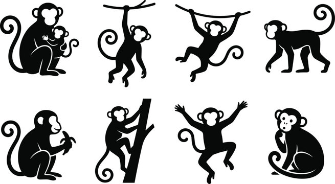 Set of black monkey silhouettes in various poses including climbing, hanging, and sitting on a white background