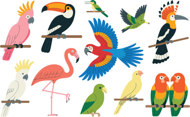 Colorful tropical birds collection, exotic wildlife vector illustration set isolated nature design elements © misla