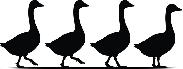 Group of four goose silhouettes walking in a row for nature wildlife and team leadership concept designs © MstShapla