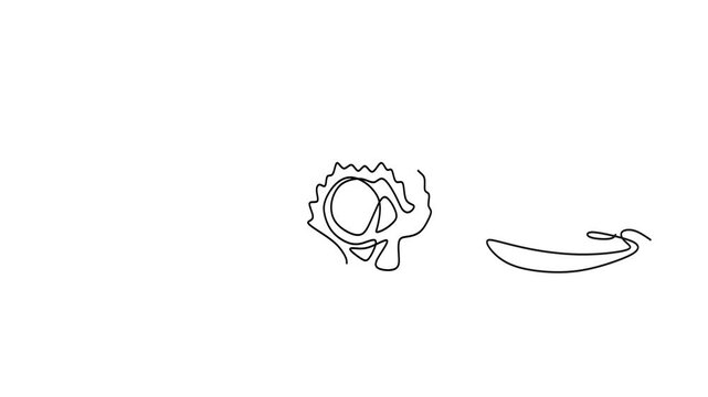 Animated self drawing of continuous line draw. contour heart for Seashells Snail Scallop and Mussel.     Full length one line animation. 4K	