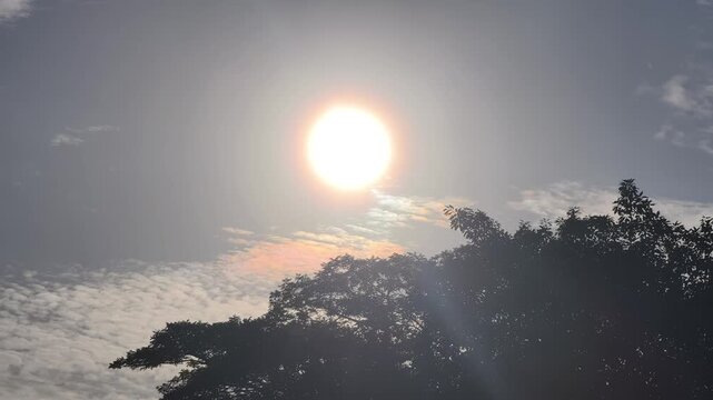 Bright sun glowing through scattered clouds with dramatic halo effect, framed by the dark silhouette of a tree canopy.Ideal for nature, environment, or scenic landscape concepts.
