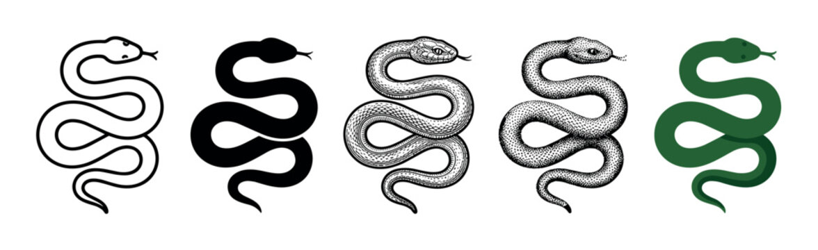 Five different styles of snake illustrations showcasing outline, silhouette, detailed engraving, stipple, and flat design for diverse graphic projects.