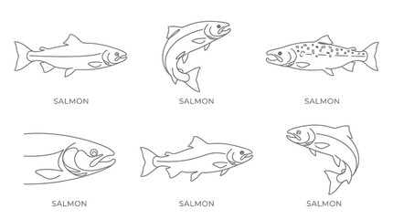 Obraz premium A single line art illustration depicts various salmon swimming in water.