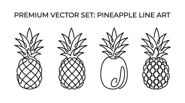 A set of four pineapple line art illustrations in various styles and patterns.