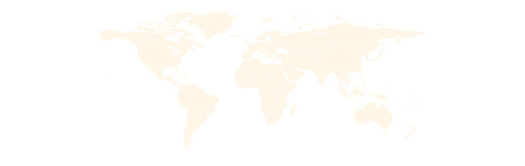 Fototapeta premium world map long grayscale saturated 03 illustration image graphic for design projects presentations digital media marketing visuals professional commer