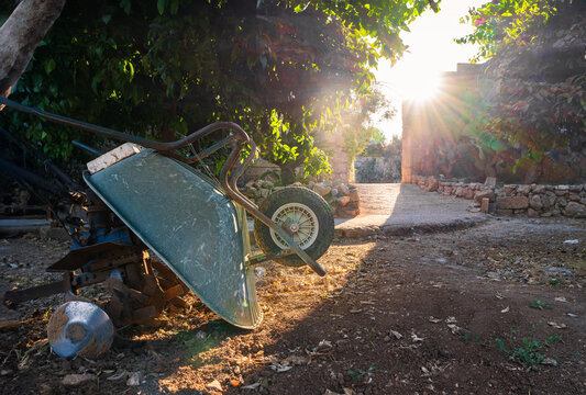 Rustic farm wheelbarrow in Italian garden at golden hour