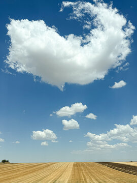 Dramatic cumulus cloud over harvested grain field in southern Italy