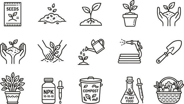 Illustrated gardening process icons showing plant growth and care steps