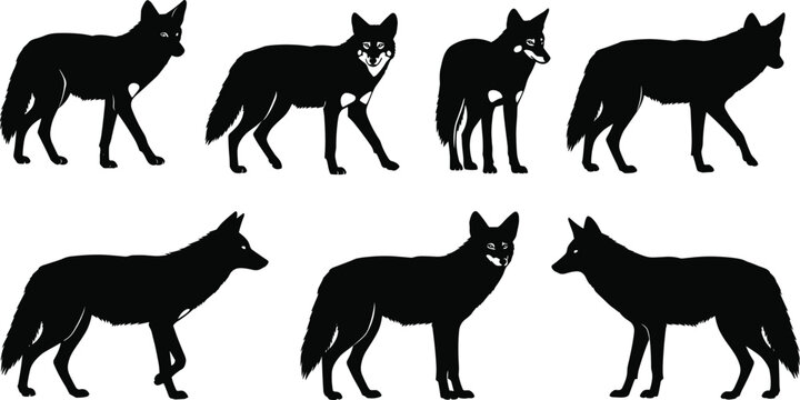 Fox and coyote silhouette illustrations with diverse postures, wildlife animal vector artwork, forest nature concept, identification, variation, behavior