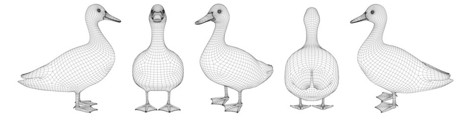 Wireframe of Geese in Various Stances - This illustration features four geese depicted as wireframes, showcasing their © K_Sarwar