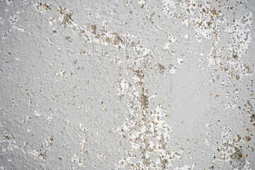 Fototapeta premium Weathered white plaster wall with peeling paint and rough texture, useful as a grunge background or abstract surface for design, renovation, decay, and aged material themes.