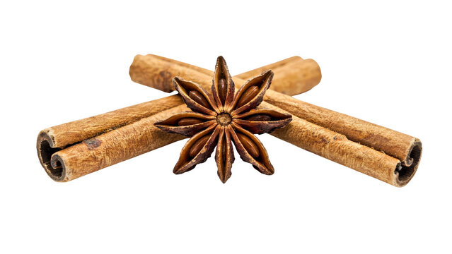 Dried brown star anise seed pod resting on two aromatic cinnamon sticks capturing culinary rustic ingredients for flavorful baking and cooking recipes on transparent background