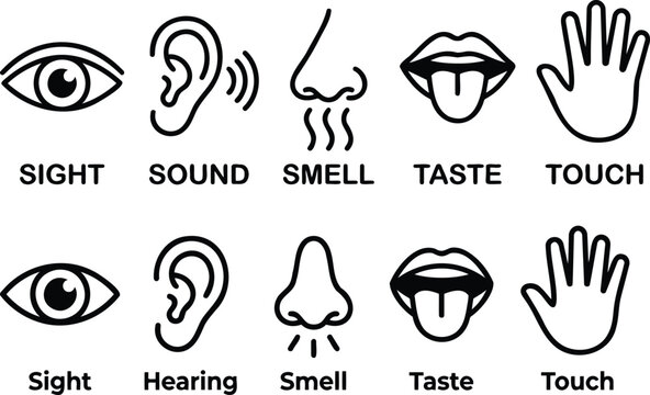 Five human senses icons set including sight sound smell taste