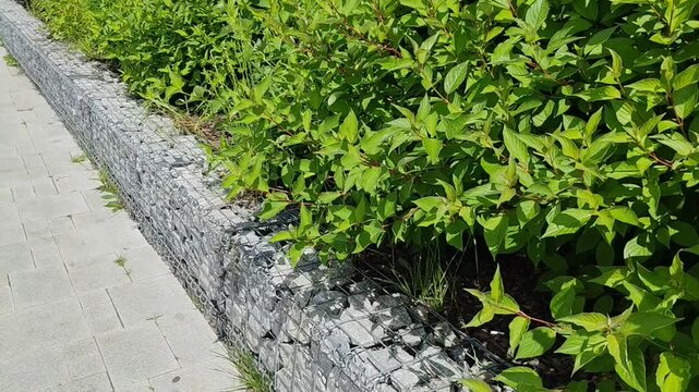 Gabion stone wall with lush greenery and paved walkway for landscaping blogs, urban design websites, garden clipart, stationery design, and outdoor architecture presentations.
