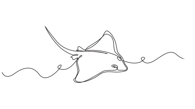 Single continuous line drawing of adorable stingray for logo nautical identity,  Elegant Manta Ray in Continuous Line Art, A Minimalist Marine, saltwater fish mascot concept. Stingray fish, manta, sea