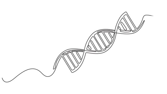 DNA continuous one line drawing animated video. Genome linear structure symbol.Self drawing animation of single line draw helix or DNA. Low poly wireframe. Biotech, science, medicine. Technology