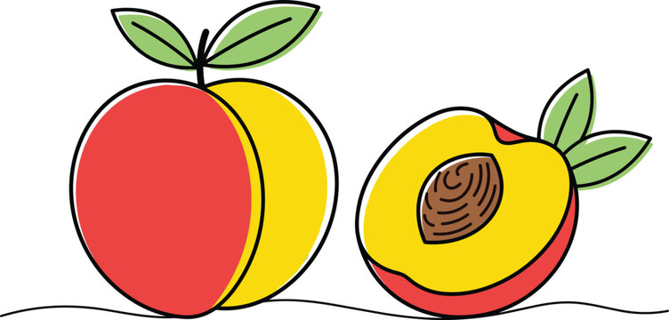 Fresh peach fruit and sliced half showing pit stone outline vector illustration isolated on white background