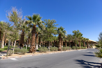 Furnace Creek w Dolnie Śmierci © Grzegorz