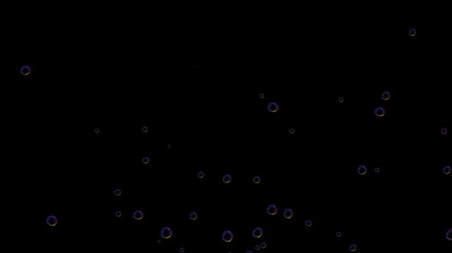 Bubbles rising animation, floating soap bubbles animation, slow rising air bubbles, liquid bubbles floating animation, floating bubble motion effect, isolated on black background. 4k video