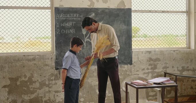 Indian young adult male man standing at class room hold dry grass crop bundle learn lesson rural area. Teen boy child wear uniform do casual study work look wheat plant tutor talk speak day time place