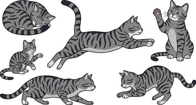 Cute grey tabby cat vector illustration set with various playful poses jumping sleeping walking stretching and sitting isolated on white background