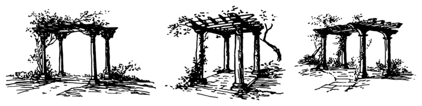 wooden garden pergolas and climbing vine arbors in hand drawn vintage sketch style