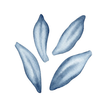 Indigo Watercolor Squill Petals Botanical Floral Elements for Pattern Design. Hand painted indigo watercolor floral petals. Decorative elements for seamless patterns, textile, stationery, and craft