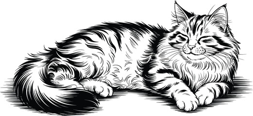 Black and white cat illustration, feline vector graphic, striped pet portrait, monochrome animal design © yamin678