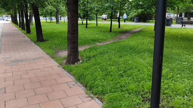 Paved walkway with grass lawn and trees for park blogs, landscape websites, urban design clipart, outdoor presentations, and garden planning materials.