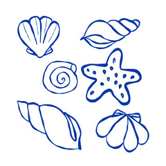 Fototapeta premium Blue line art sea shells and starfish collection. Hand drawn vector marine elements vector set isolated on white background.