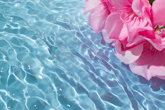 Bright blue water surface with a rippled texture  and pink tropical flowers background. Abstract tropical summer water background. Ocean waves.