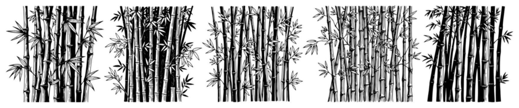 Bamboo stalks with leaves and forest plants in vintage engraving style