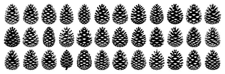 Pine cone collection with various coniferous seed shapes for seasonal designs © Logan