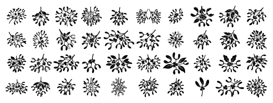 Winter mistletoe icons set with different branch and berry shapes in silhouette style