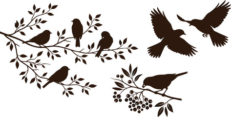 Fototapeta premium Bird Silhouette Illustrations on Branches with Leaves and Berries for Elegant Nature and Decorative Design Concepts