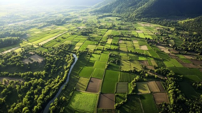 Expansive green agricultural fields and a winding river seen from above on a sunny spring day